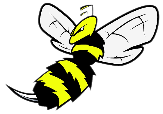 Manchester Stinger Motorsports